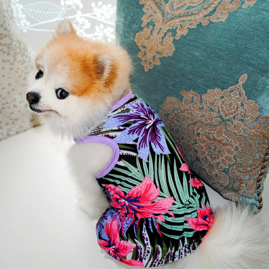 Summer Floral Pet Dress Breathable Stretchy - ProPawPet.com