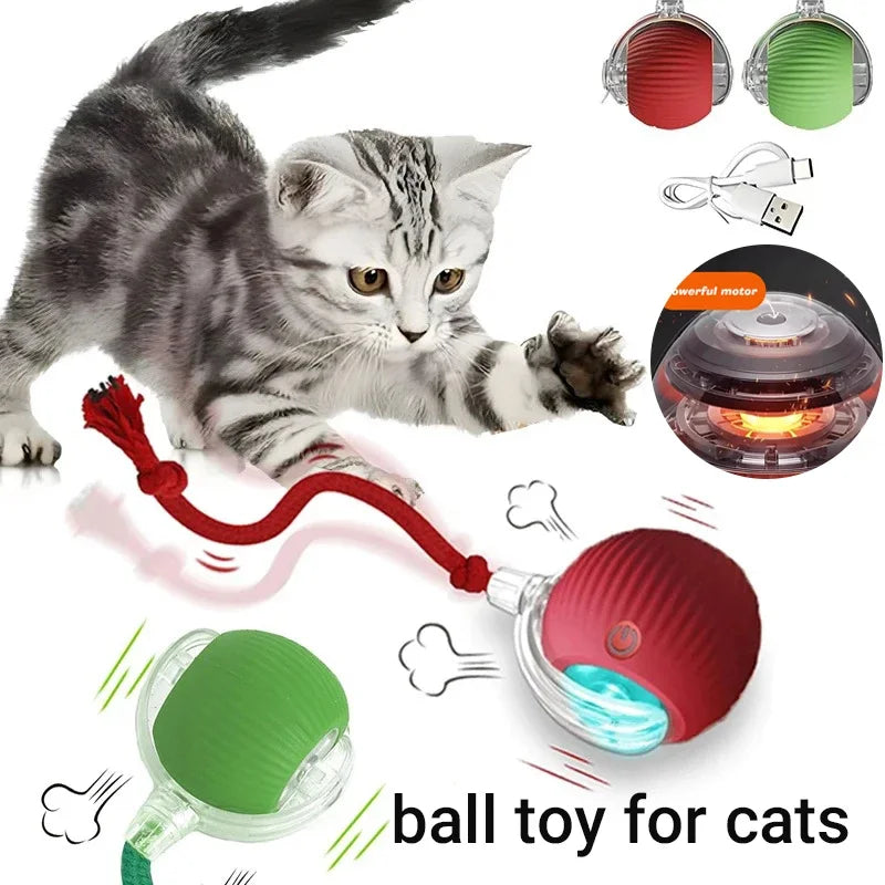 Pet Smart Interactive Ball Rechargeable Cat - ProPawPet.com