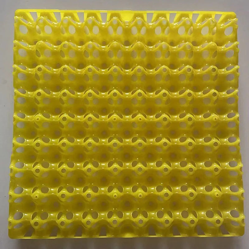 Plastic Quail Egg Tray, Pigeon Holder Bird Crate – 2 Colors