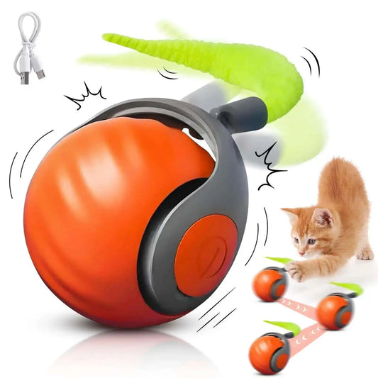 Sale Speedy Tail 2.0 Cat Toy Interactive Cat - ProPawPet.com