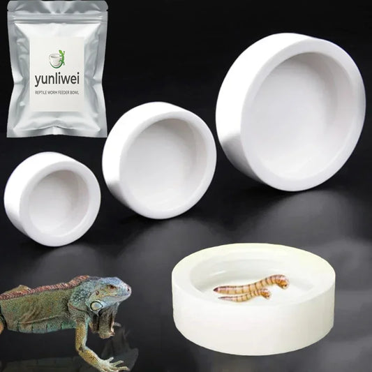 Reptile Food Bowl Anti-Escape Ceramic Feeder - ProPawPet.com