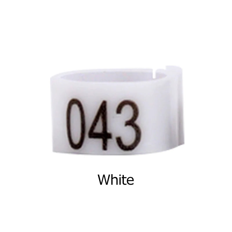 Pigeon Foot Ring Feeding Supplies Bird Breeding Identity – 11 Colors