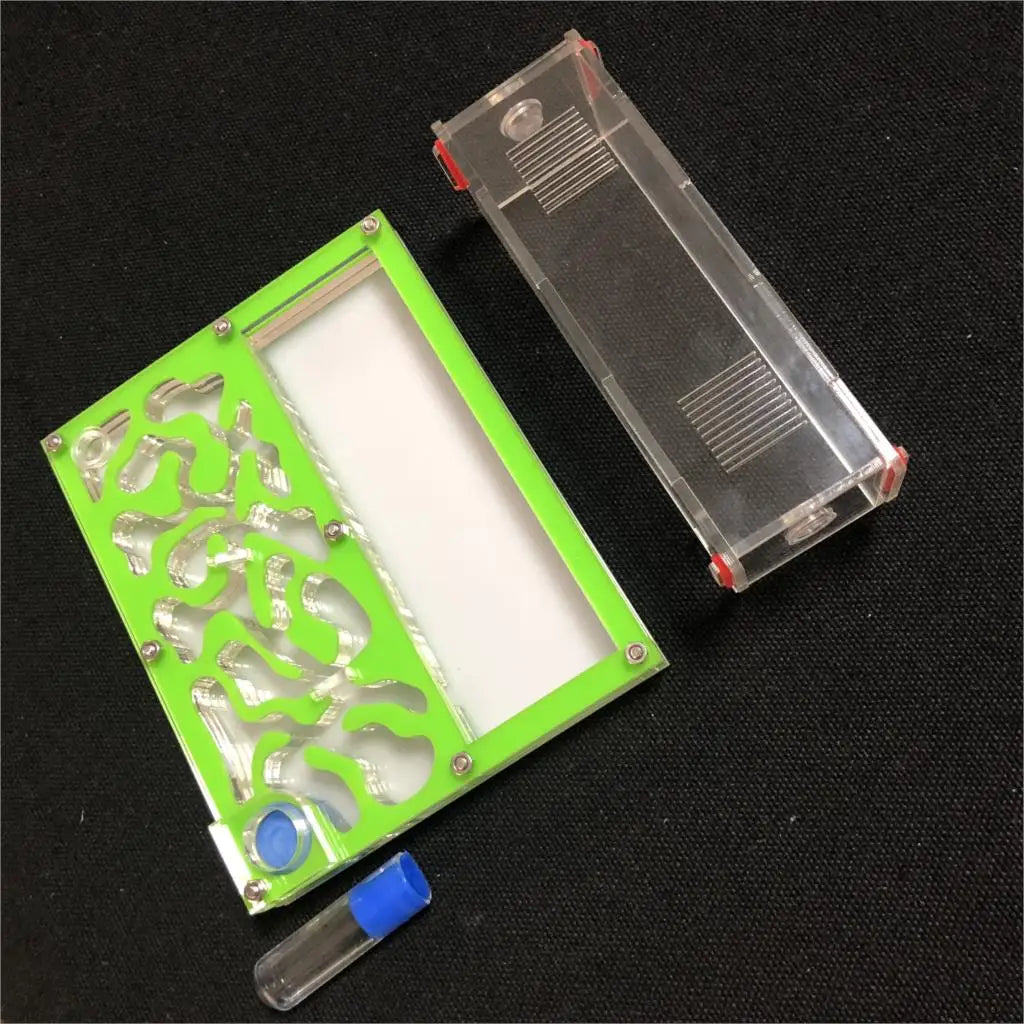150mmx110mm test tube Moisture big space Ant - ProPawPet.com