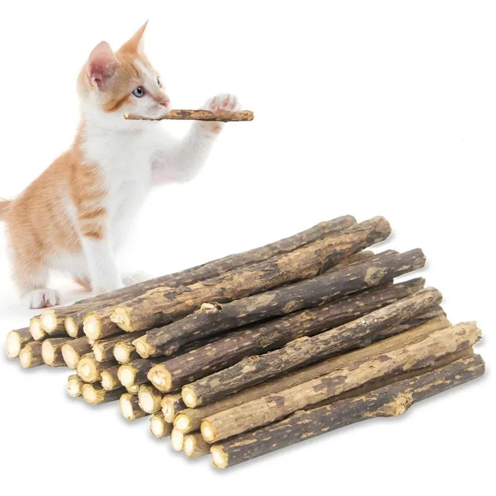 Natural Silver Vine Chew Sticks Catnip Molar - ProPawPet.com