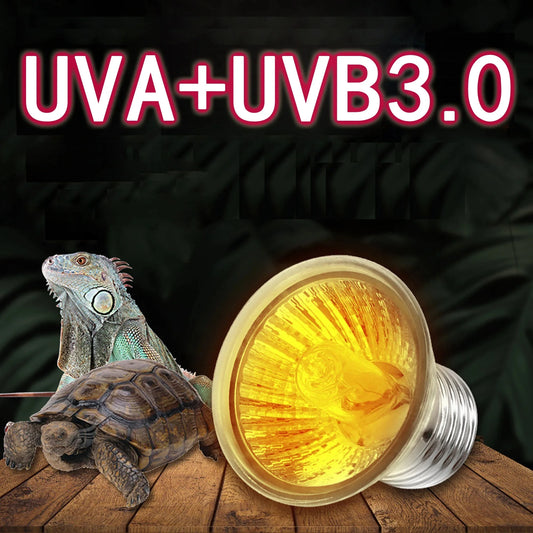 25/50/75W UVA+UVB 3.0 Reptile Lamp Bulb - ProPawPet.com
