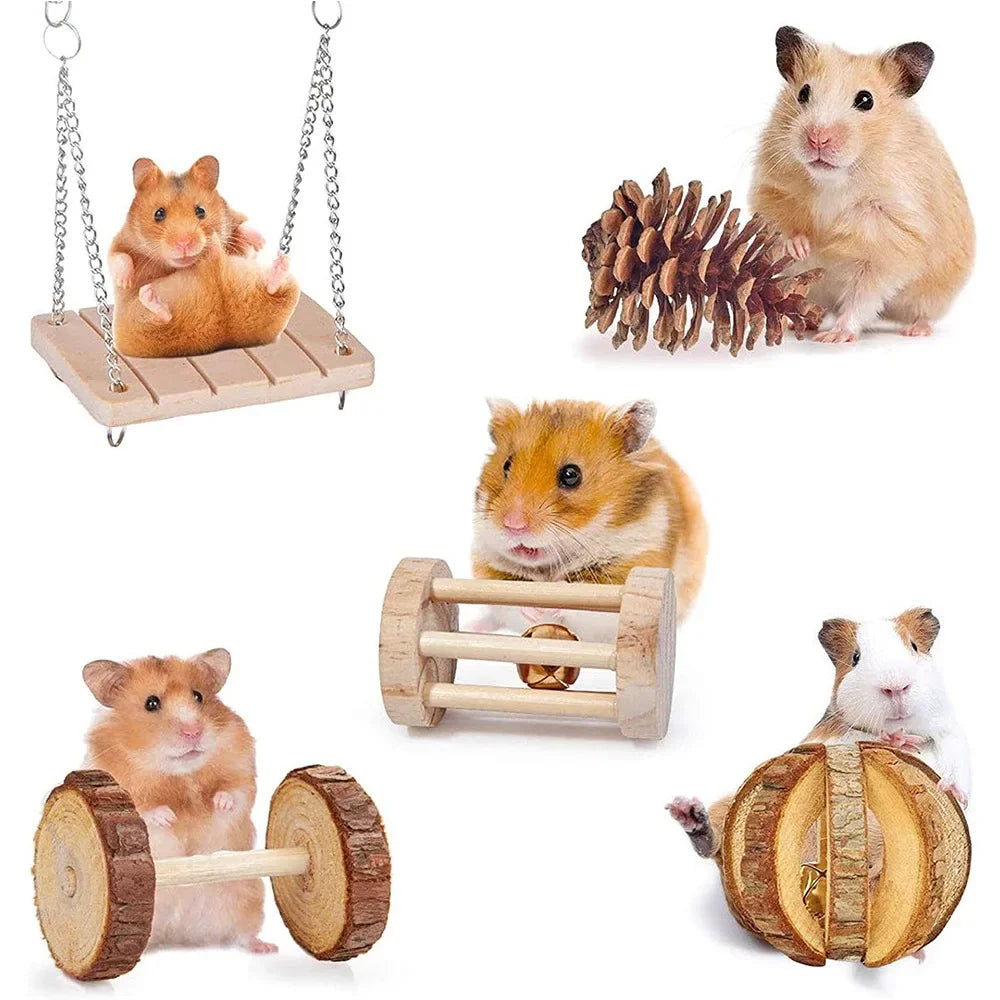 Pet Rabbit Guinea Pig Parrot Play Molar - ProPawPet.com