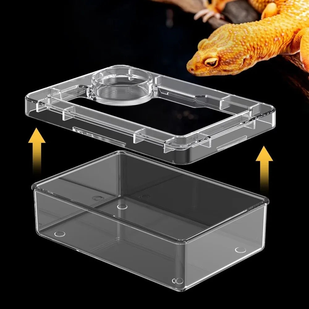 Reptile Anti Escape Feeder Box with Food Cup - ProPawPet.com