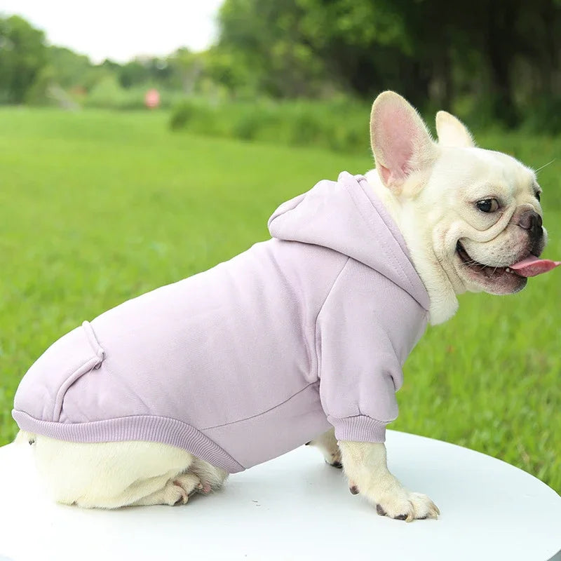 Fashion Dog Clothing Autumn And Winter Small - ProPawPet.com