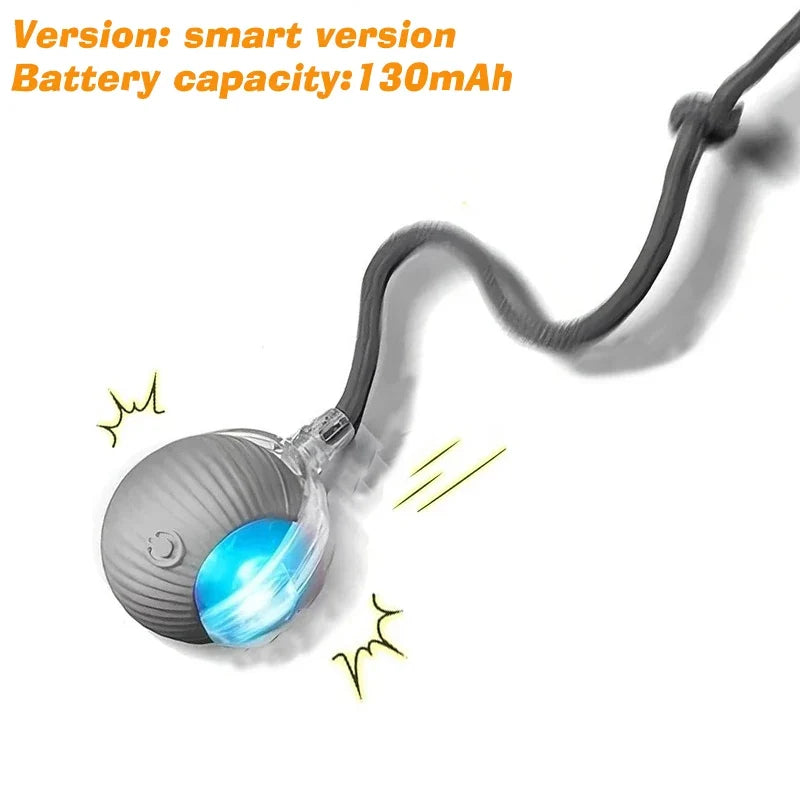 Rechargeable Dog Interactive Ball – 5 Colors