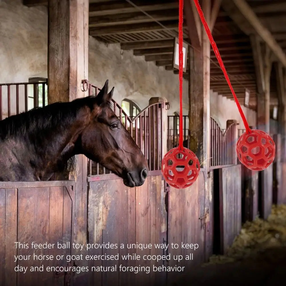 TPR Horse Treat Ball Red/Blue/Green Circular - ProPawPet.com