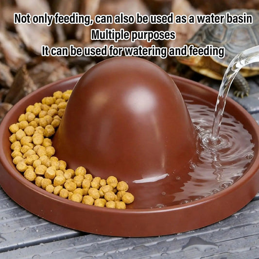 Reptile Food Dish Leopard Gecko Food Dish - ProPawPet.com