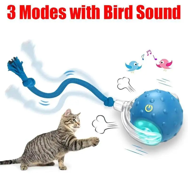Interactive Cat Toy Ball with Bird Chirping - ProPawPet.com