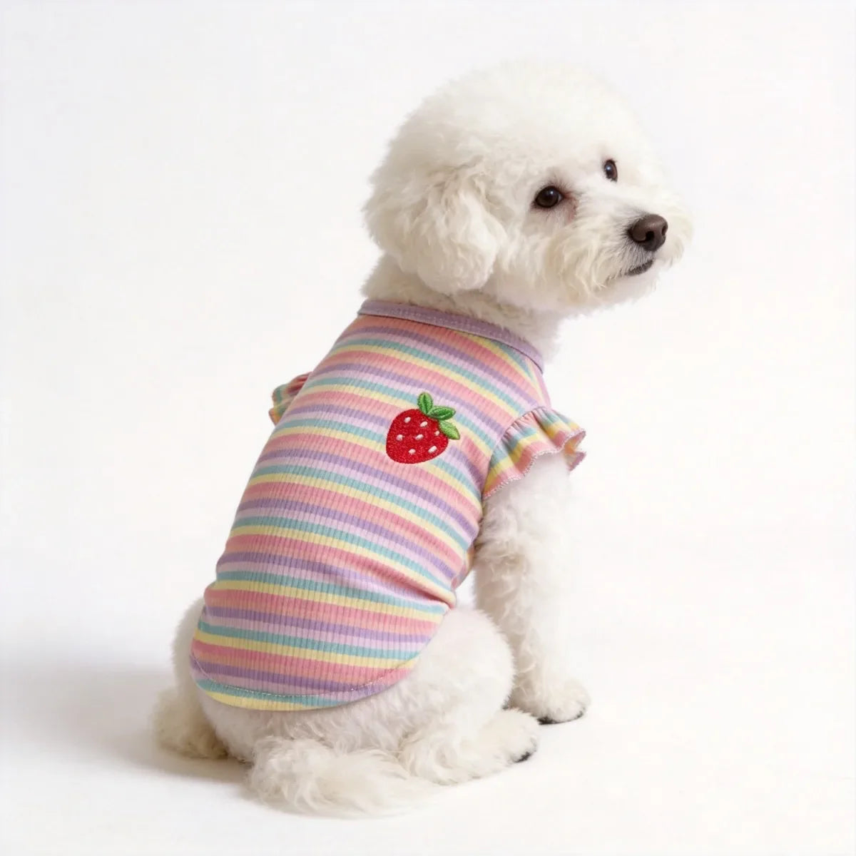 New Rainbow Striped Pet Dog Cat Summer Ins - ProPawPet.com