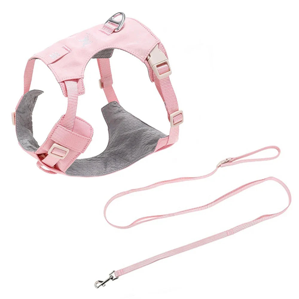 Lightweight Dog Harness & Leash Set - ProPawPet.com