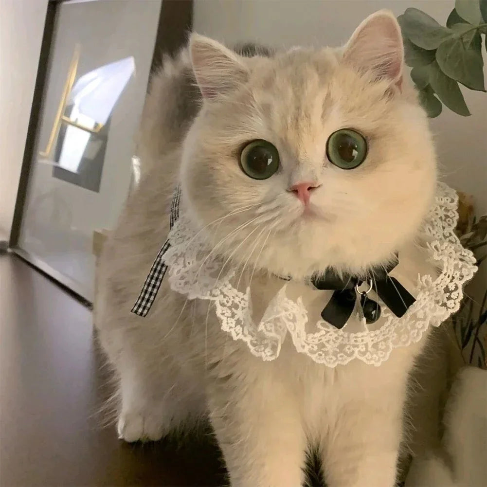 Lace Bowknot Pearl Collar Cat Dog - ProPawPet.com