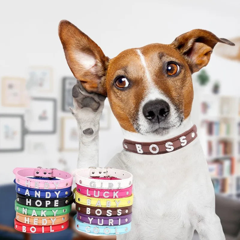 Custom Cat Dog Collar Personalized - ProPawPet.com