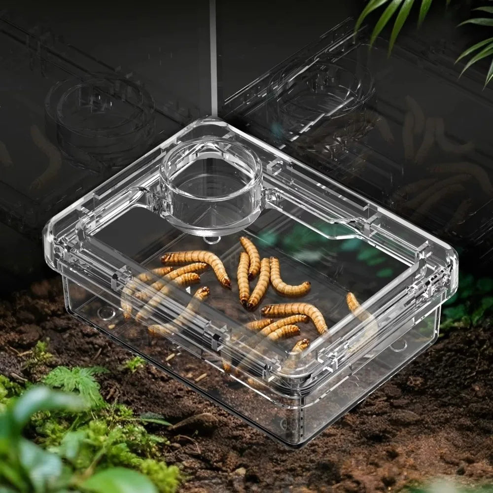 Reptile Lizards Geckos Feeding Bowls Anti - ProPawPet.com