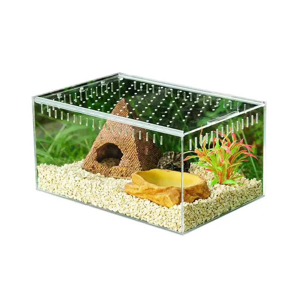 Reptile Breeding Box Acrylic Transparent - ProPawPet.com