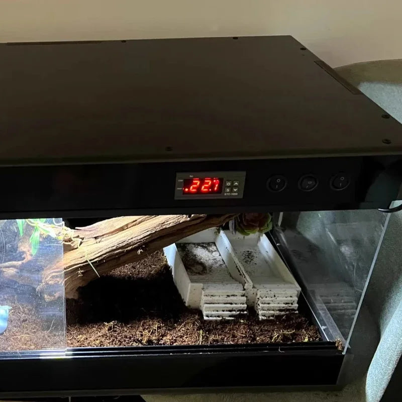 Thermostat Reptile Terrarium Turtle Lizard - ProPawPet.com