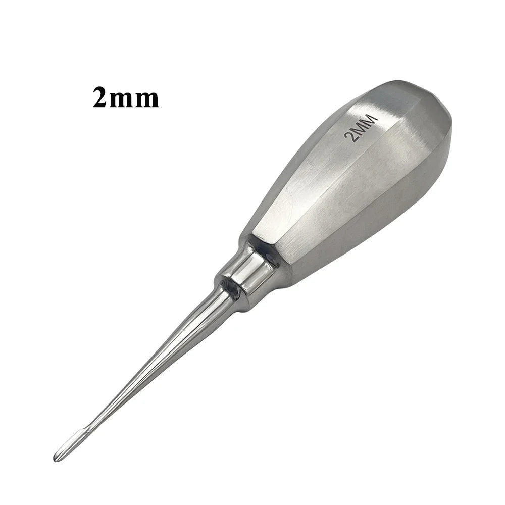 1PCS Lab Experiment Rodent Rat Rabbit Totoro - ProPawPet.com