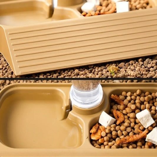 2 in 1 Reptile Feeder Station Large Capacity - ProPawPet.com
