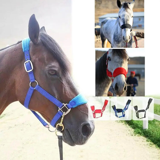 Premium Thicken Cob Horse Halter Headstall - ProPawPet.com