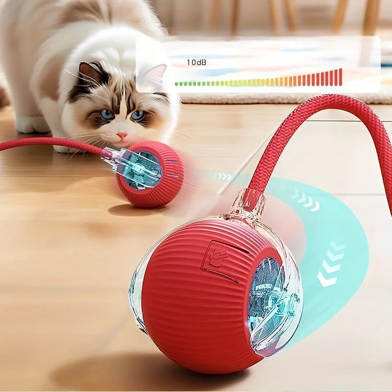 MIAOQUANJI Self-Rolling Cat Toy Ball with - ProPawPet.com