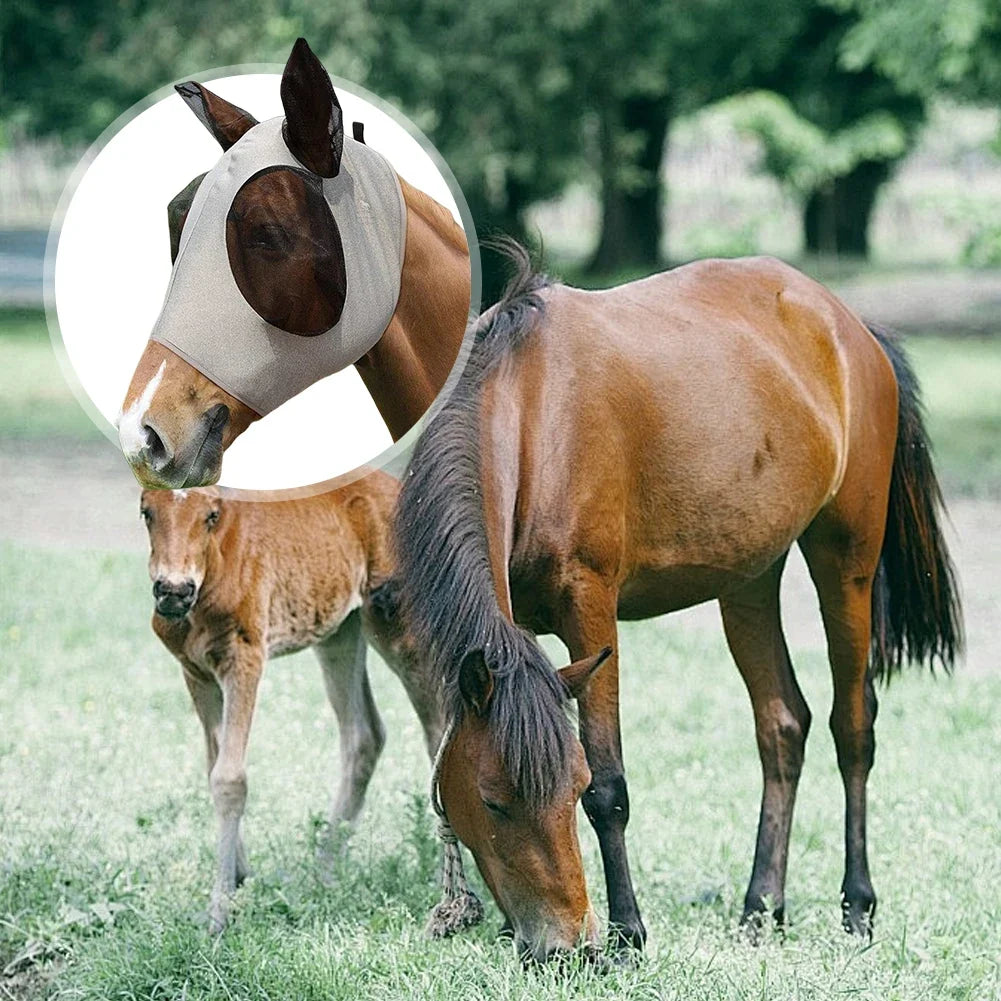 Anti Fly Stretchy Knitted Mesh Mask - ProPawPet.com