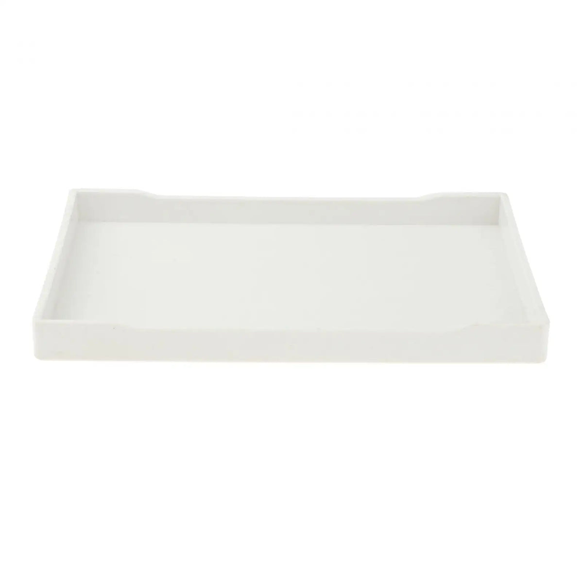 Reptile Water Bowl Terrarium Bowl Turtle - ProPawPet.com