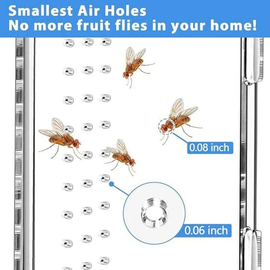 Acrylic Transparents Feeding Box Reptiles - ProPawPet.com