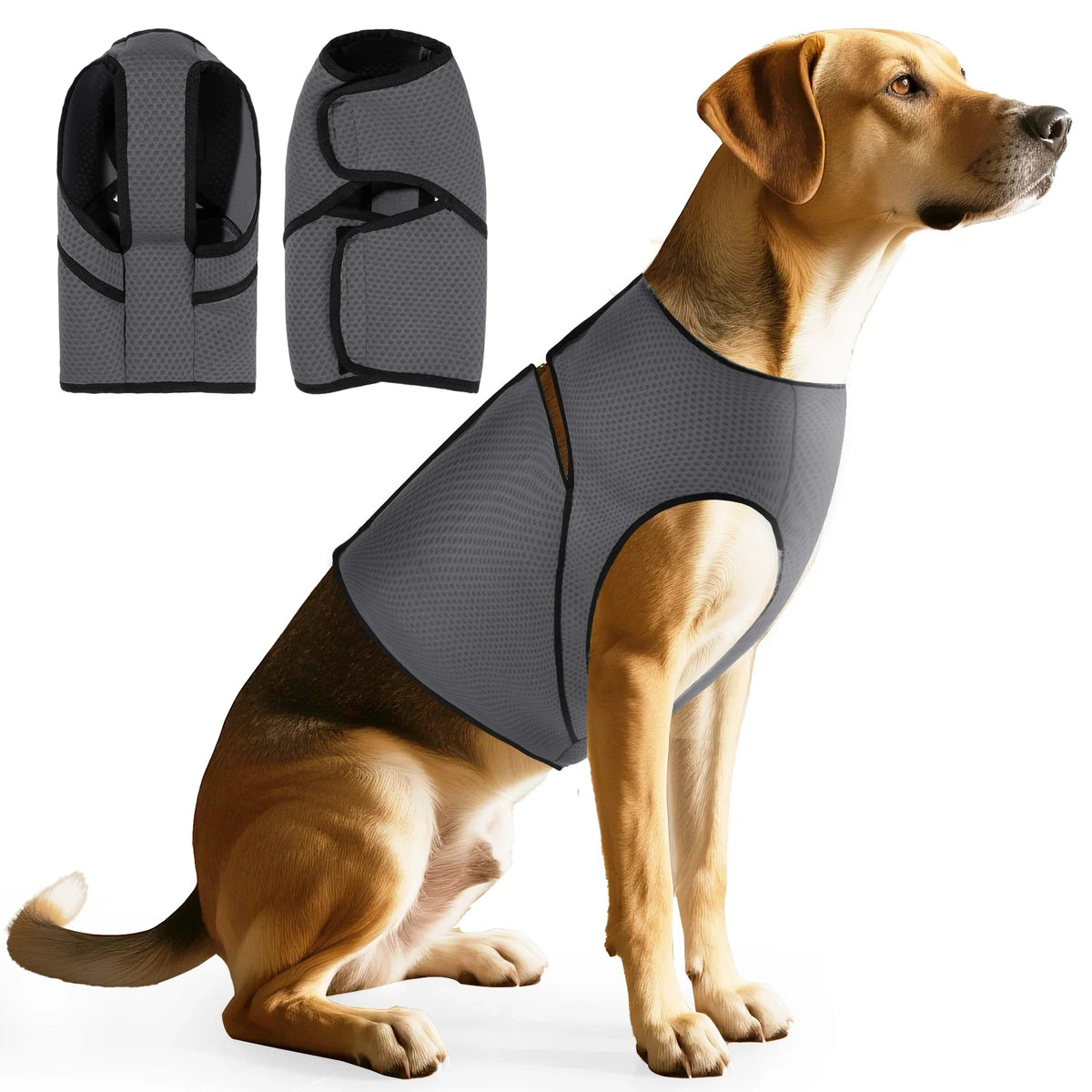 Dog Anxiety Jacket, Dog Coat for Thunder, - ProPawPet.com