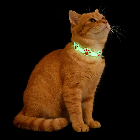 2pcs Glow-In-The-Dark Pet Collar - ProPawPet.com