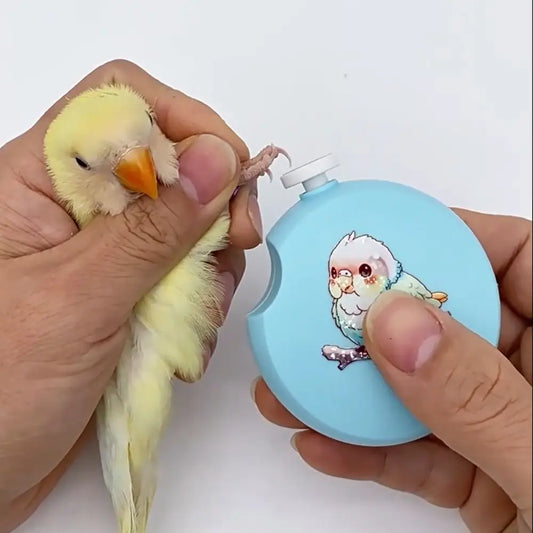 With 6 Grinding Heads Electric Parrot Nail - ProPawPet.com
