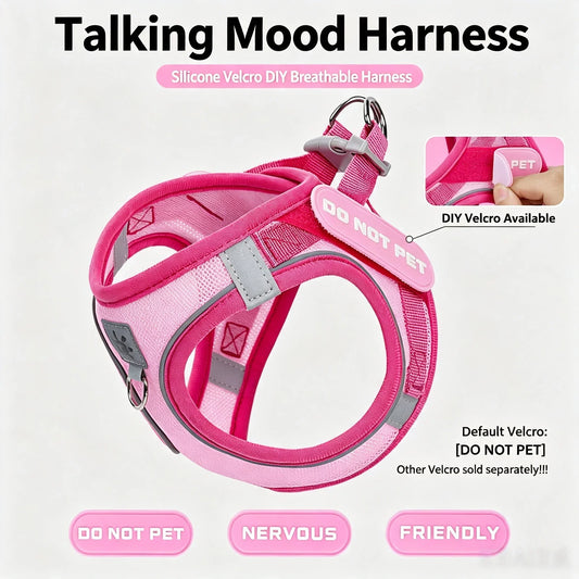 Dog Harness and Leash Set, Small Dog - ProPawPet.com