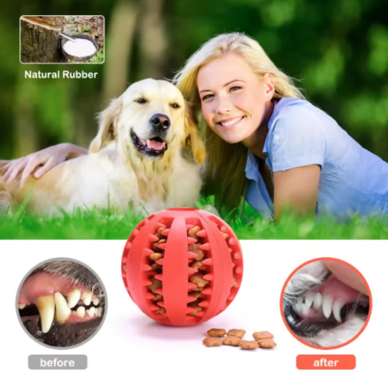 Interactive Silicone Rubber Ball for Dogs - ProPawPet.com