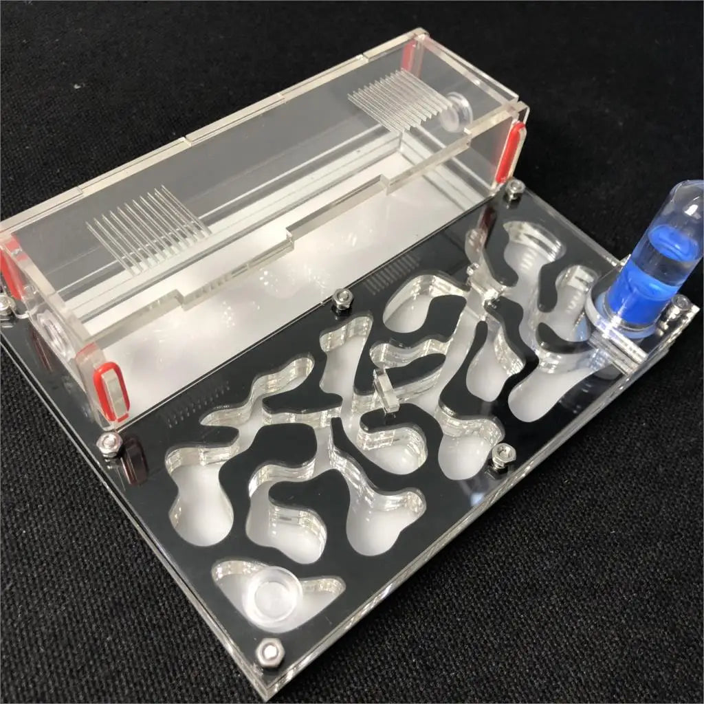 150mmx110mm test tube Moisture big space Ant - ProPawPet.com