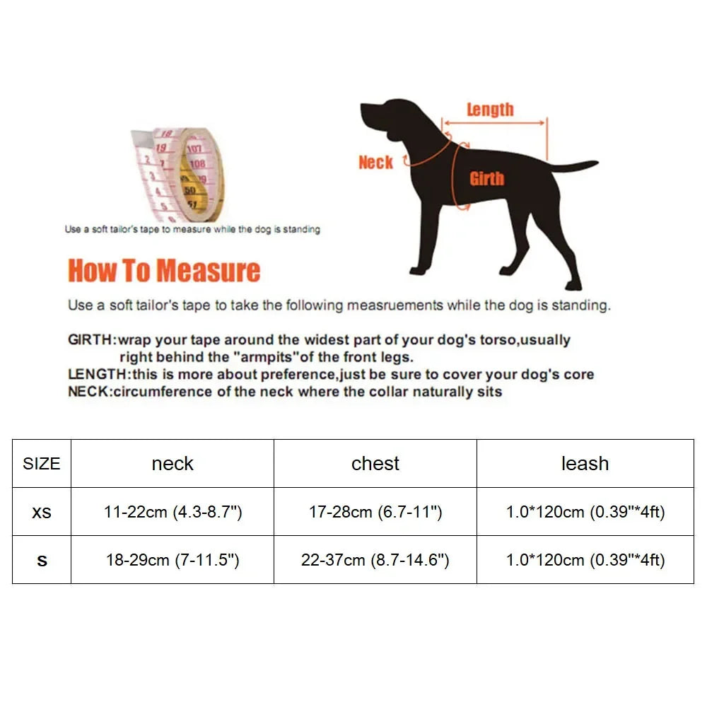 Adjustable Kitten Harness and Leash Set Cute - ProPawPet.com