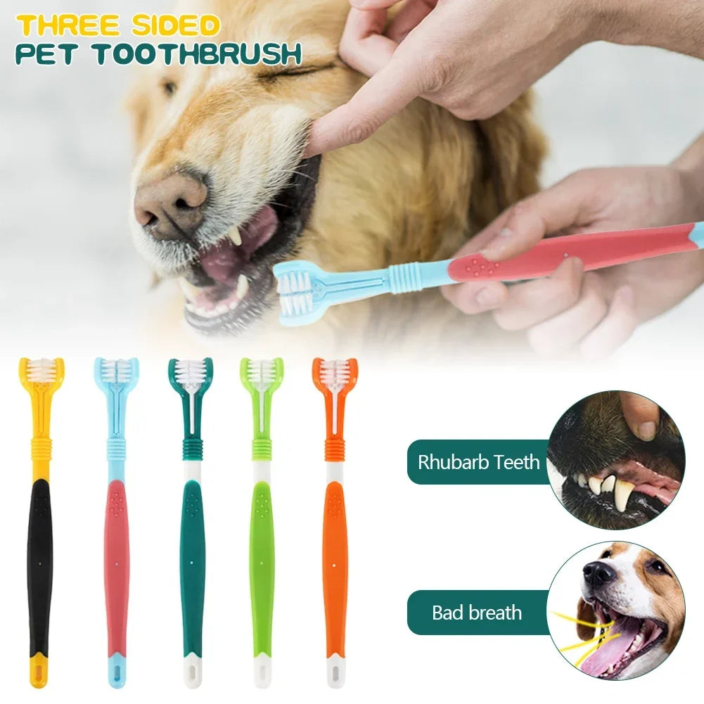 Three Sided Pet Toothbrush Three-Head - ProPawPet.com