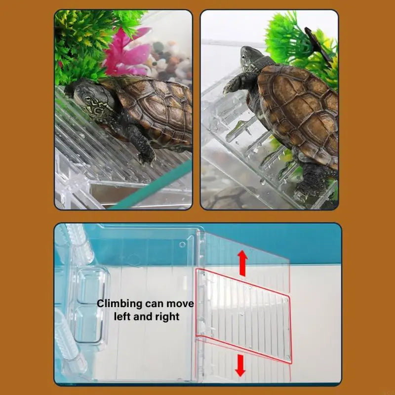 MXLA Antiskid Turtles Ramps Set Turtles - ProPawPet.com