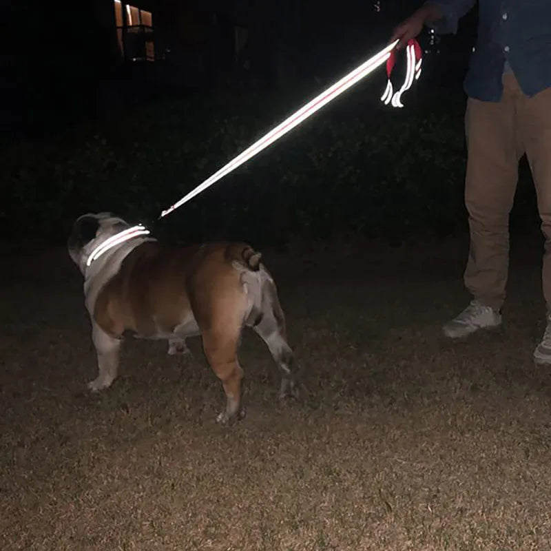 Reflective Dog Pet Towing Rope Guard Rope - ProPawPet.com