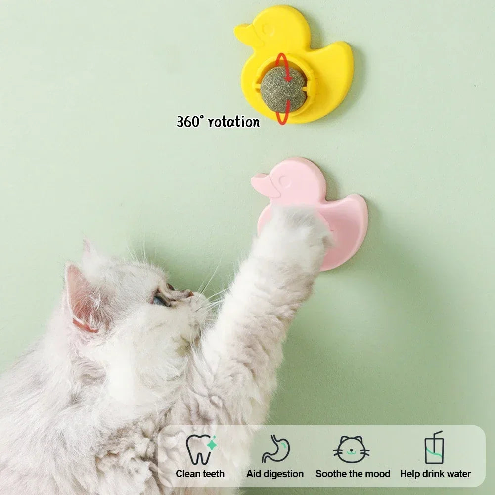 Cat Mint Ball Rotating Ball Wall Cat Toy - ProPawPet.com