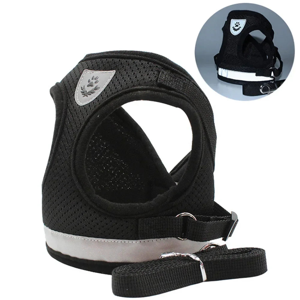 Escape Proof Cat Harness Adjustable - ProPawPet.com
