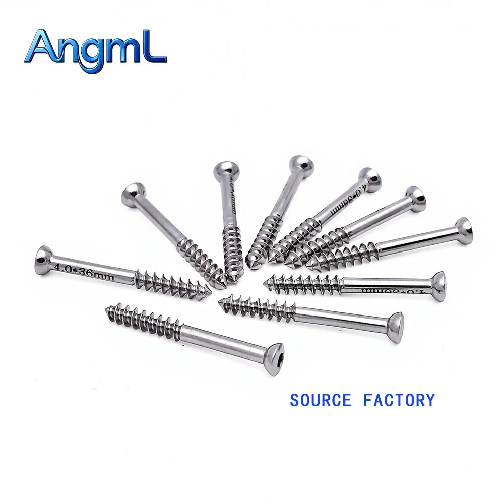 10pcs 2.2/3.0/4.0/6.5mm Stainless Steel Lag - ProPawPet.com