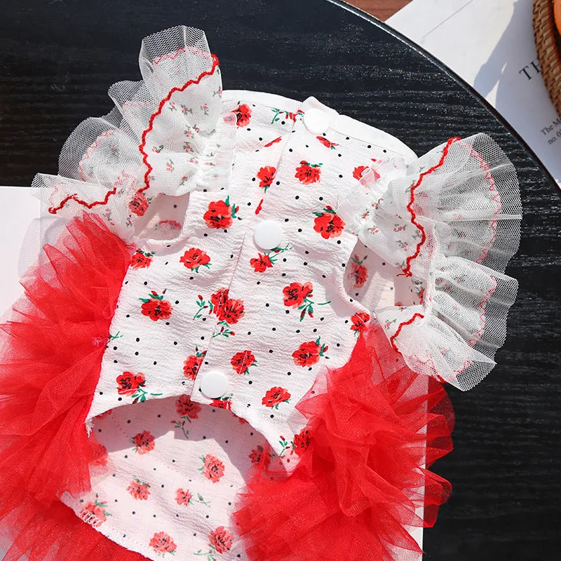 New Floral Lace Cat Dog Dress with Leash, - ProPawPet.com
