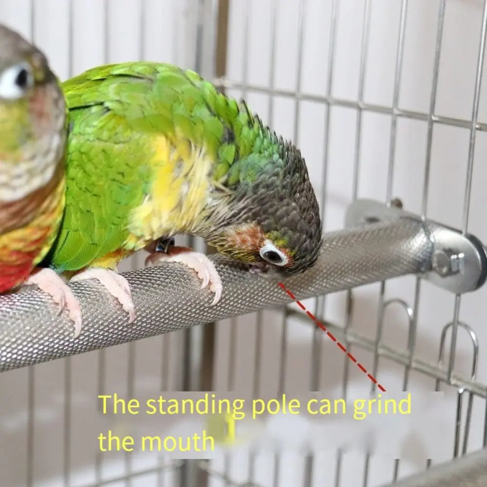 Safe Teeth Grinder Stainless Steel Parrot - ProPawPet.com