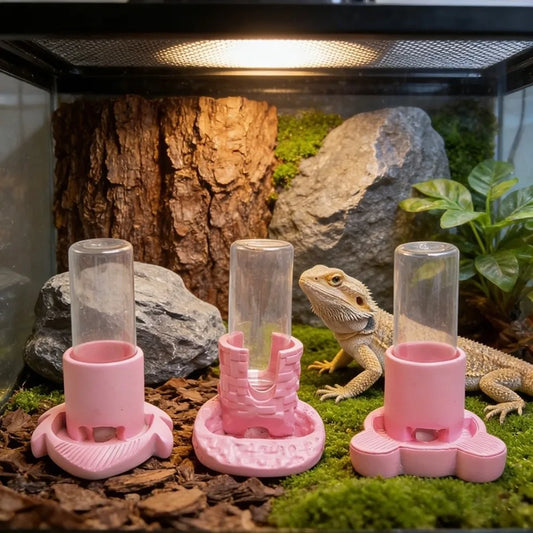 Plastic Reptiles Water Feeder Removable - ProPawPet.com