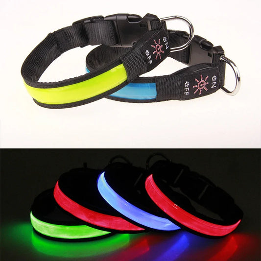 Pinkycolor USB Charging LED Dog Collar - ProPawPet.com