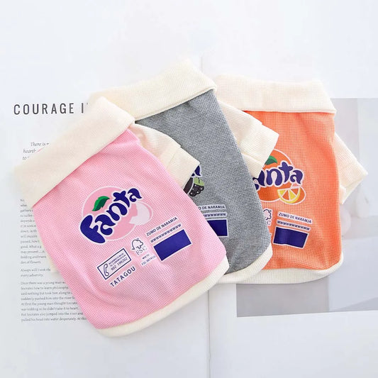New Spring and Autumn Cat and Dog Pet - ProPawPet.com