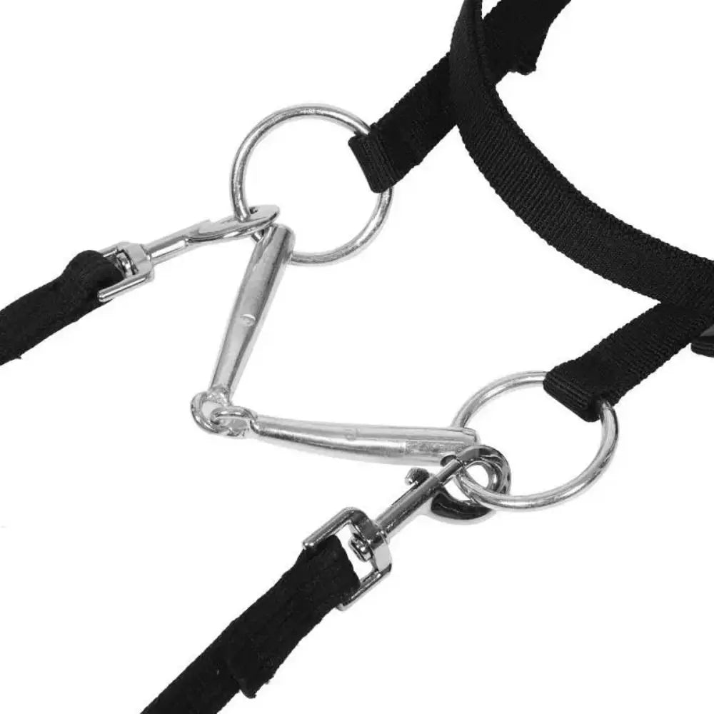 Thickened Horse Halters Comfortable - ProPawPet.com