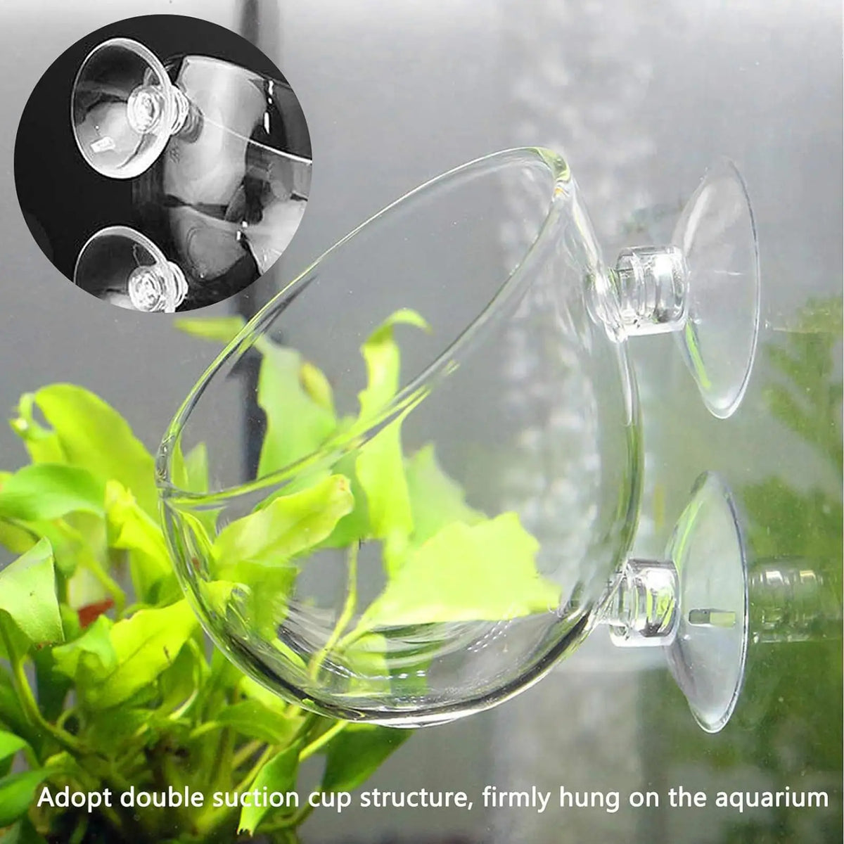 Aquarium Plant Holder Glass Aquatic Plant - ProPawPet.com